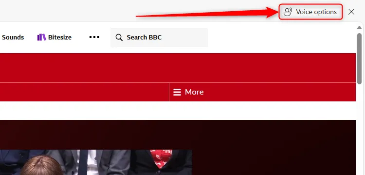 Biểu tượng tùy chọn giọng nói của tính năng Đọc to trong Microsoft Edge.