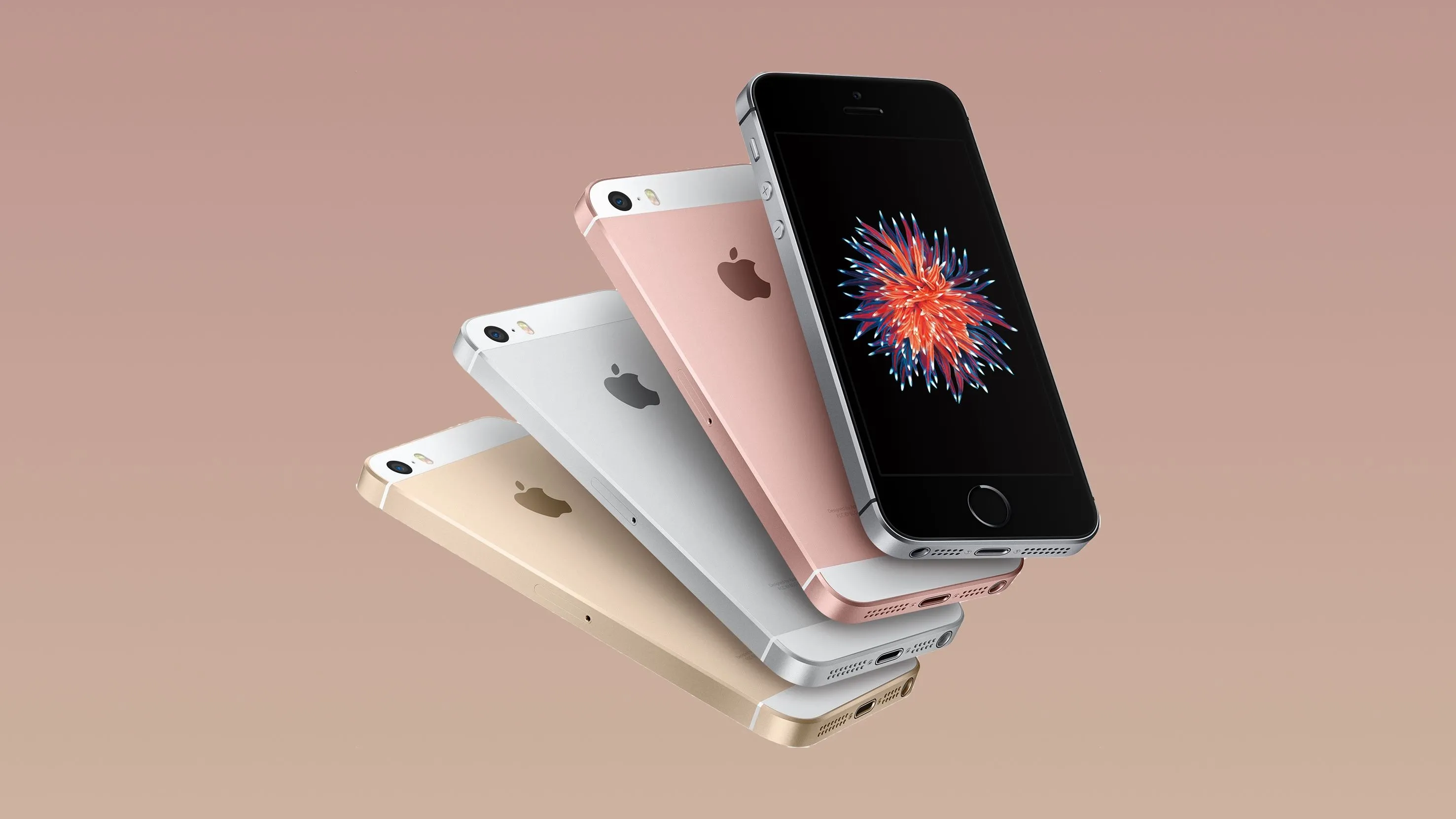 Bốn chiếc iPhone SE thế hệ đầu tiên (2016) với nhiều màu sắc khác nhau được sắp xếp quạt tròn, minh họa các tùy chọn màu.