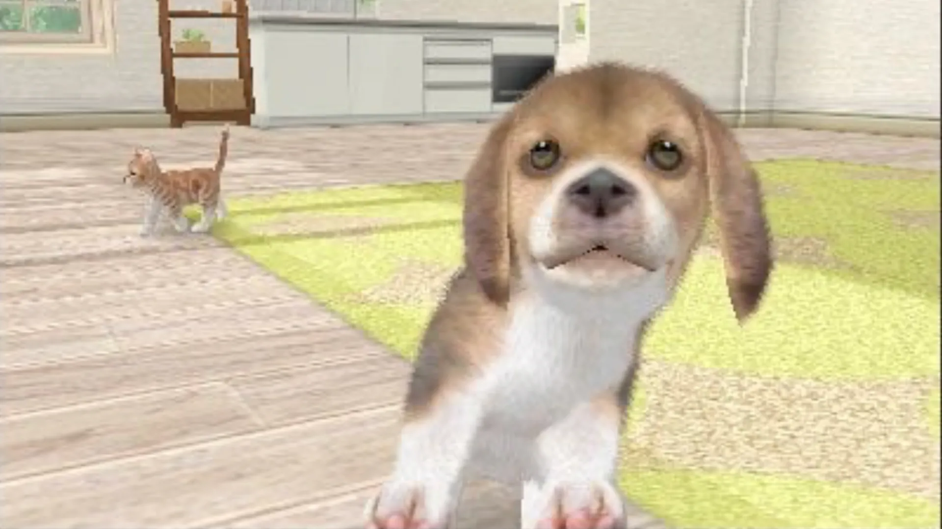 Chó và mèo ảo trong Nintendogs + Cats sinh hoạt trong môi trường phòng khách
