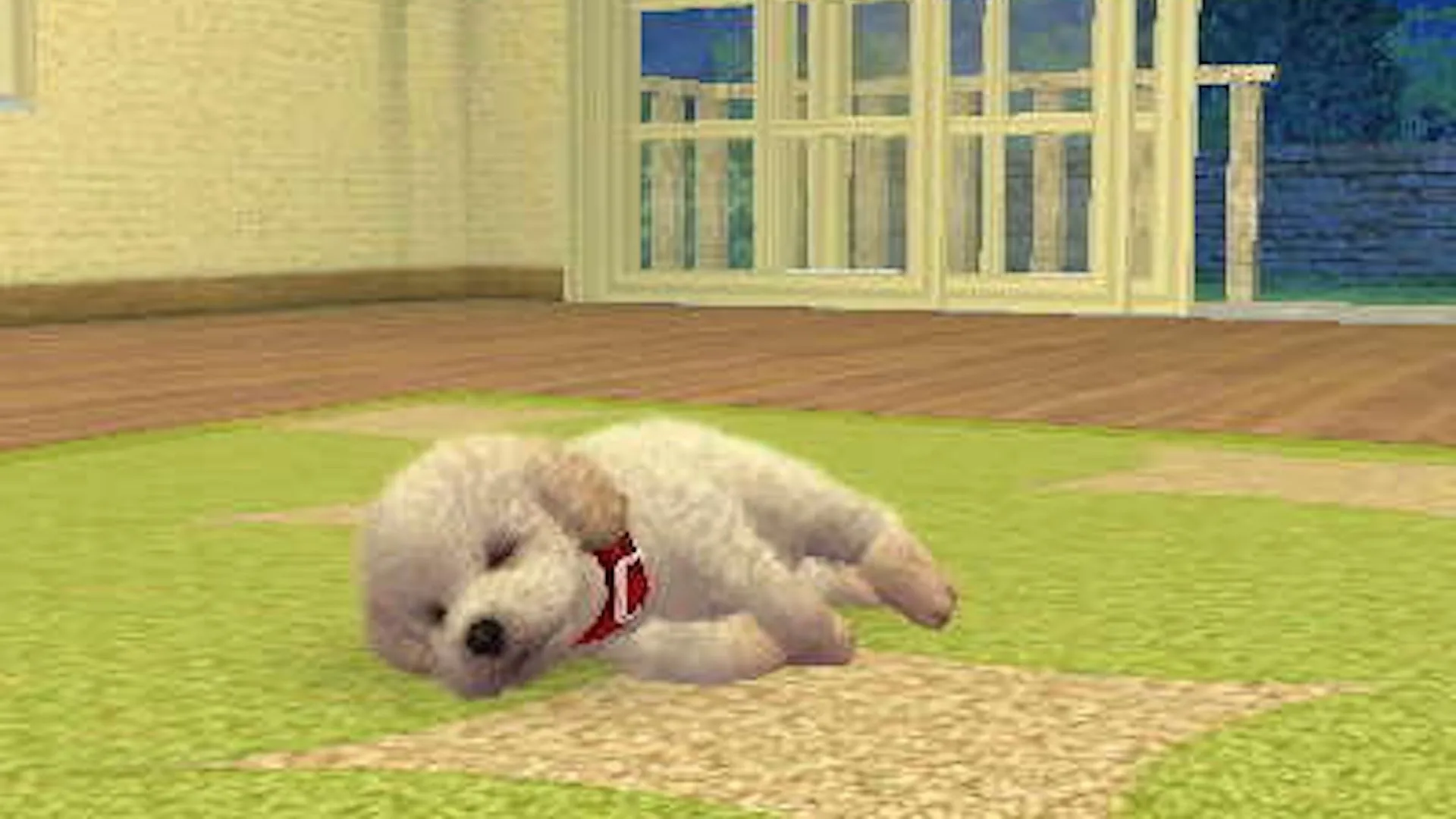 Chú chó ngủ yên bình trong game Nintendogs, thể hiện đồ họa và không gian ảo