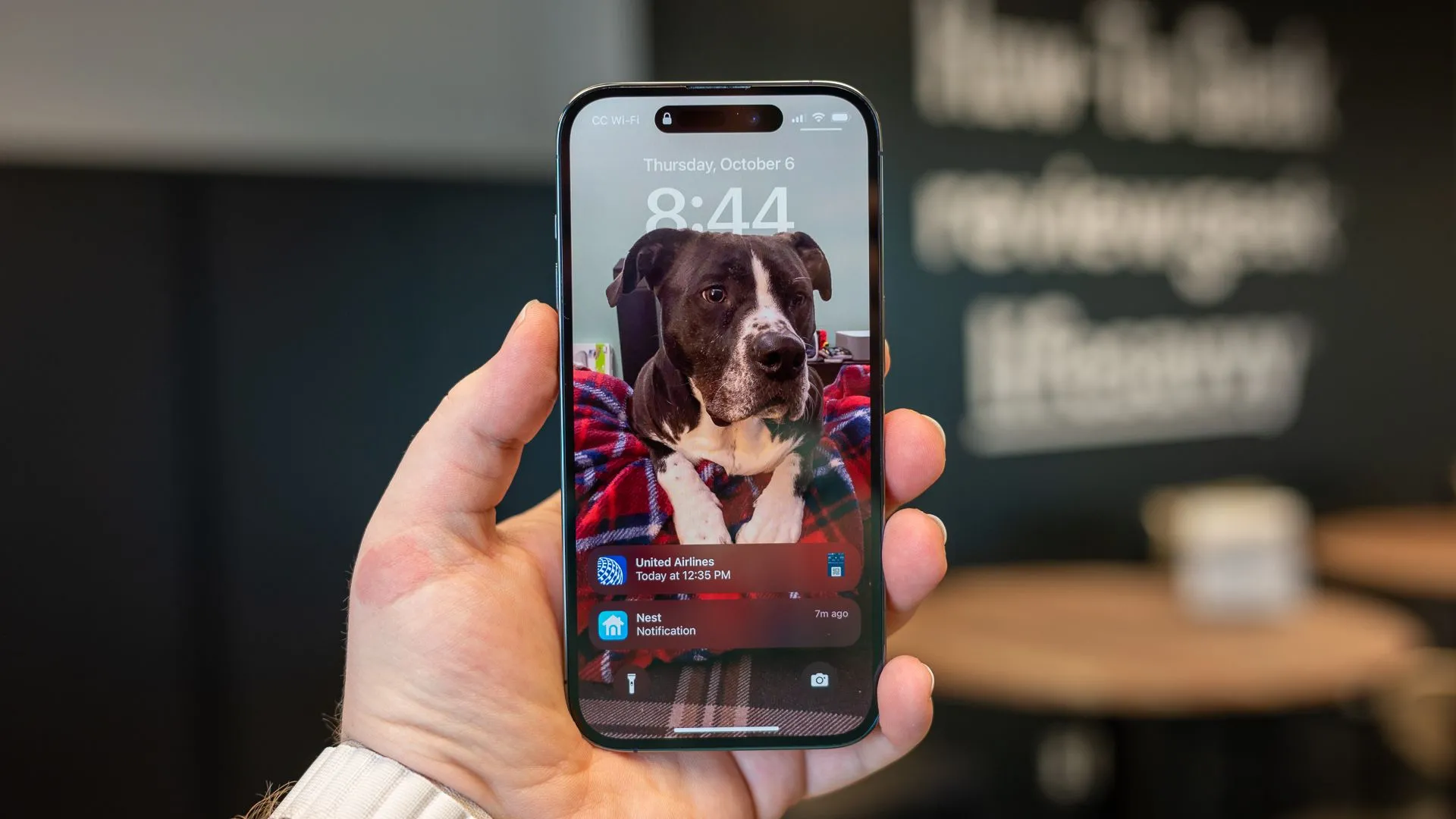 Điện thoại Apple iPhone 14 Pro, minh họa việc tắt thông báo ứng dụng để giảm sự phân tâm