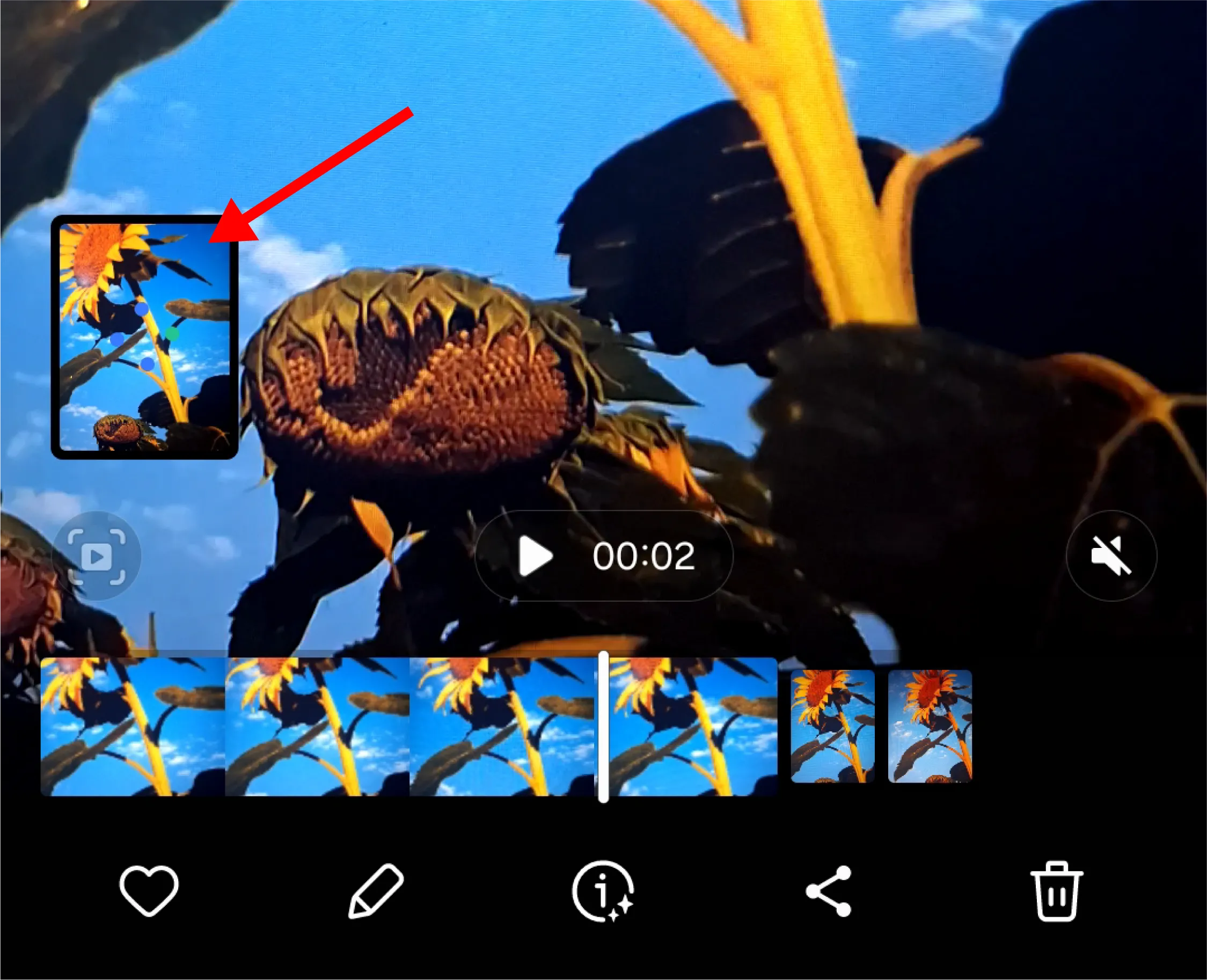 Khung hình tĩnh mới được trích xuất thành công từ Motion Photo trên Galaxy