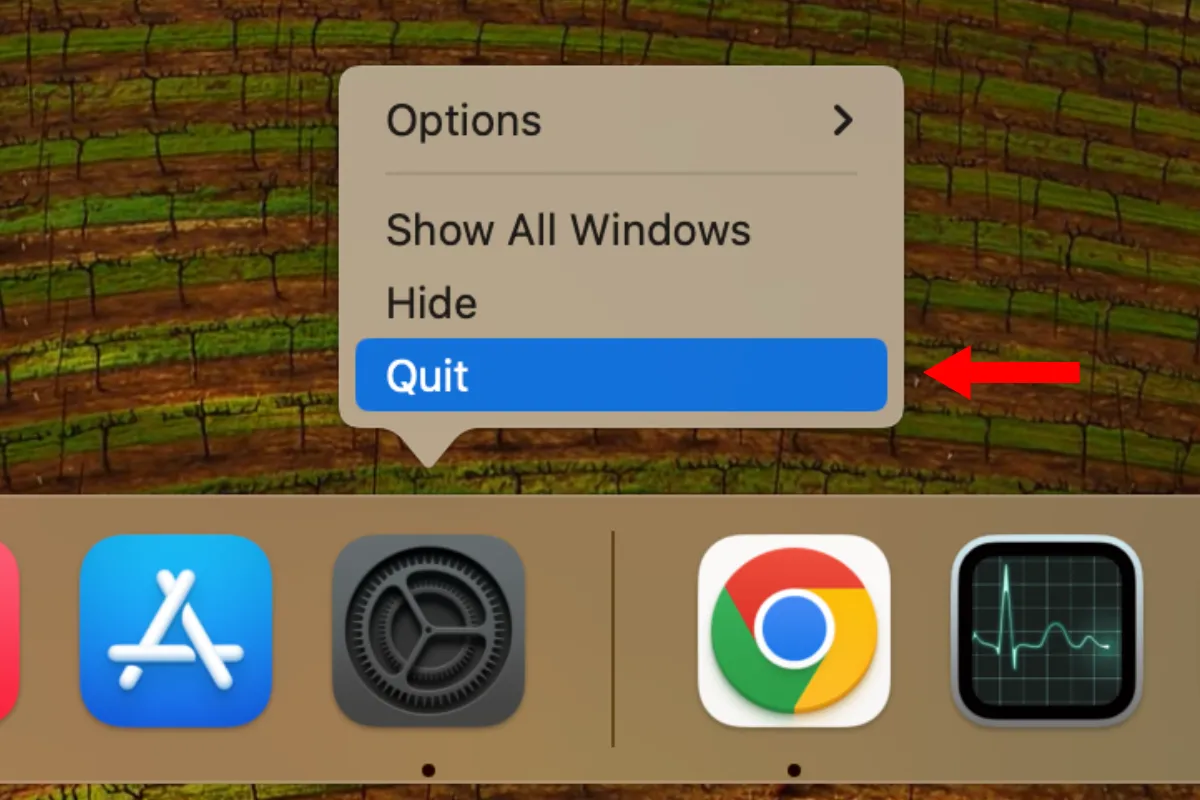 Menu chuột phải với tùy chọn Thoát (Quit) ứng dụng từ Dock trên macOS