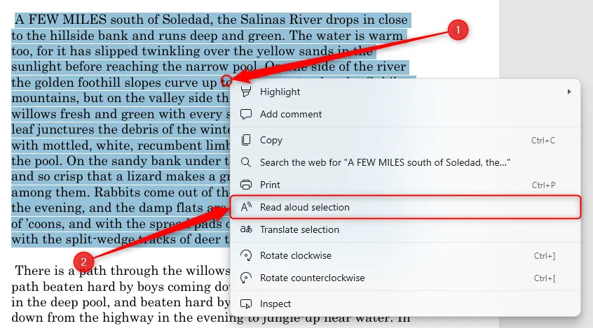 Một số văn bản trong PDF của Microsoft Edge được chọn, và tùy chọn Đọc to vùng chọn qua menu chuột phải được làm nổi bật.