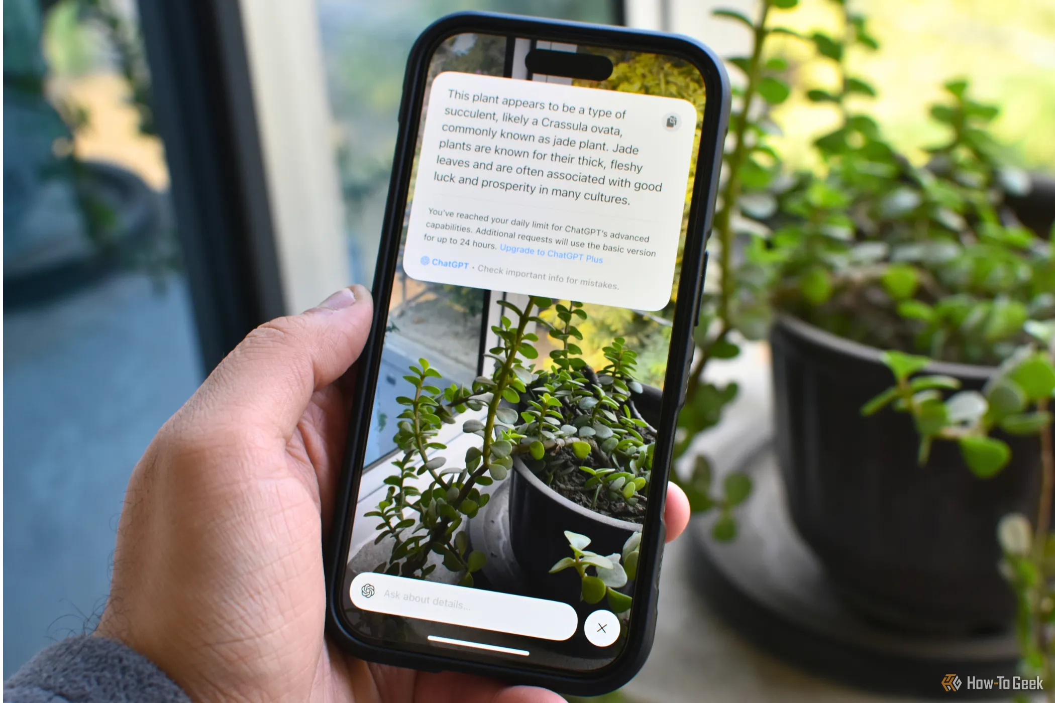 Tính năng Visual Intelligence của Apple Intelligence trên iPhone 16.