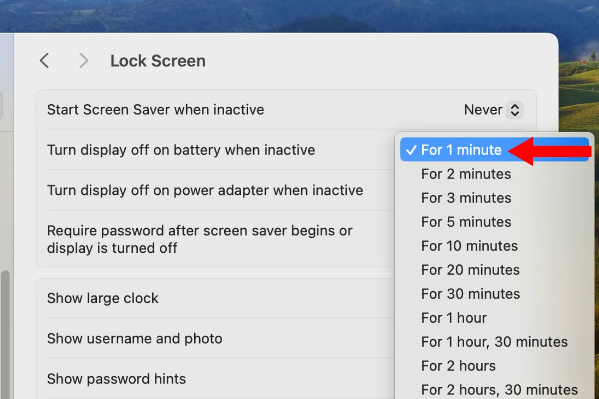Tùy chọn &quot;Turn display off on battery when inactive&quot; trong cài đặt màn hình của MacBook
