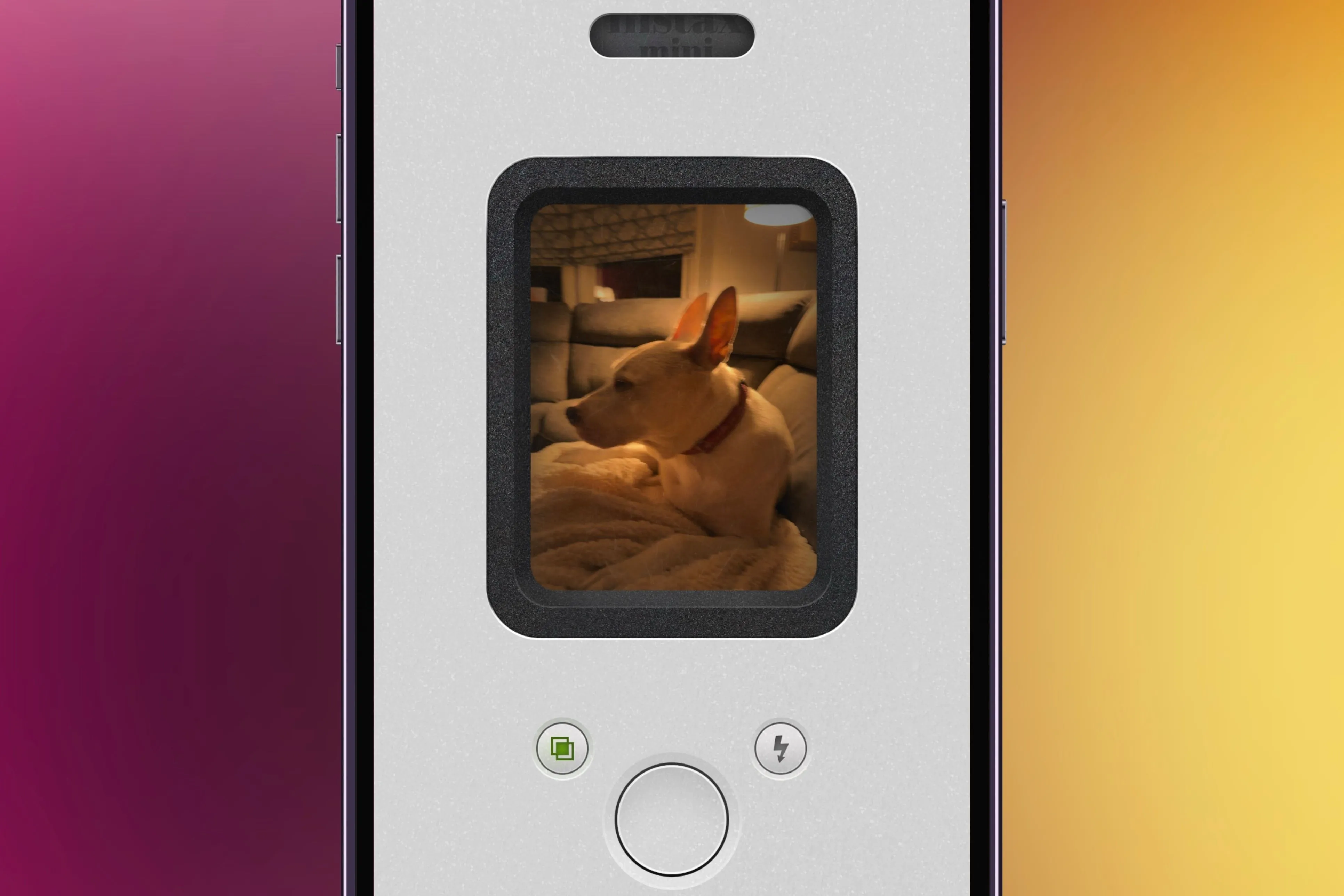 Chụp ảnh Polaroid với NOMO Cam trên iPhone, hiển thị ảnh cún cưng