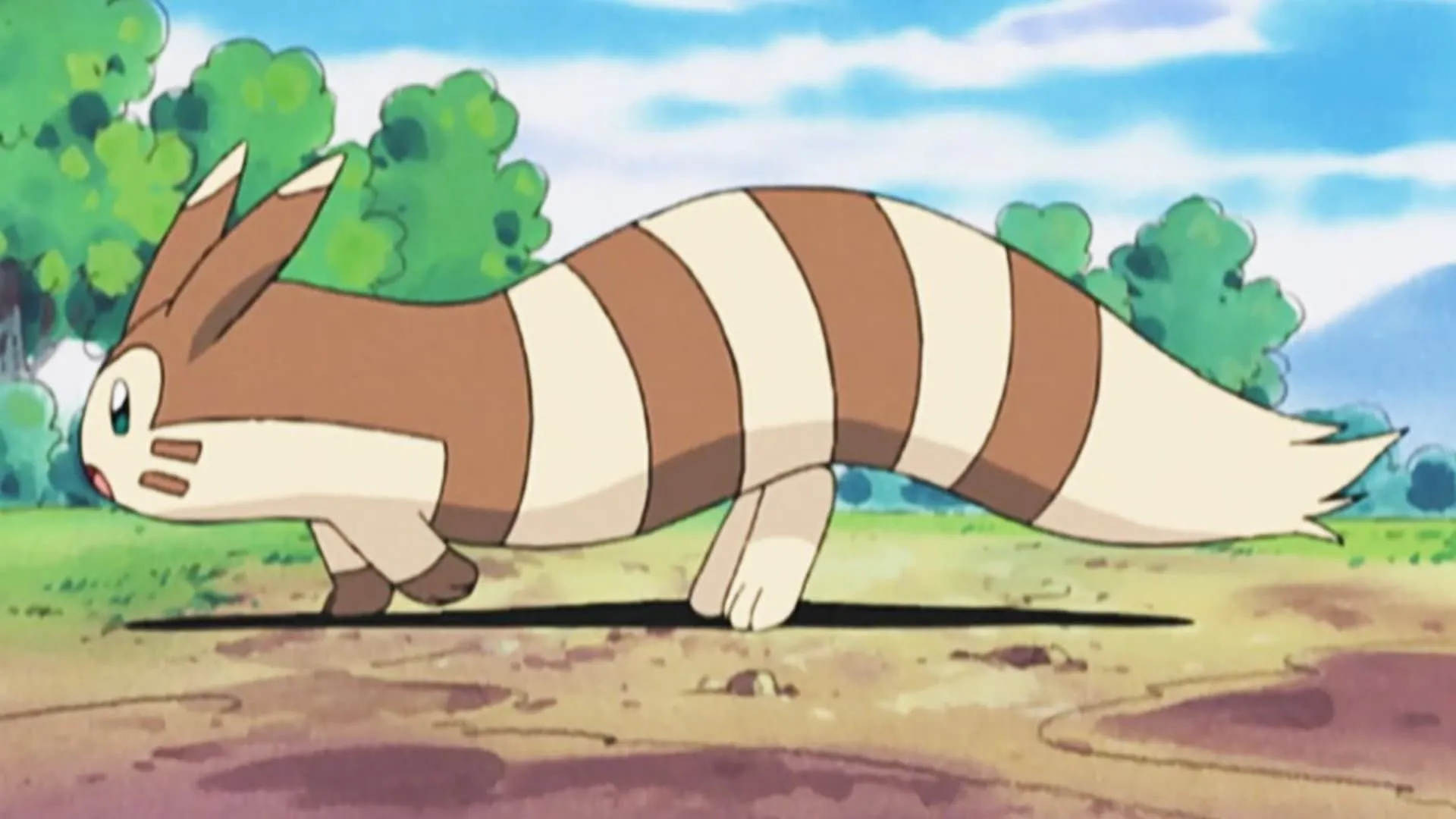 Furret với cơ thể dài, linh hoạt đang di chuyển trong anime Pokémon