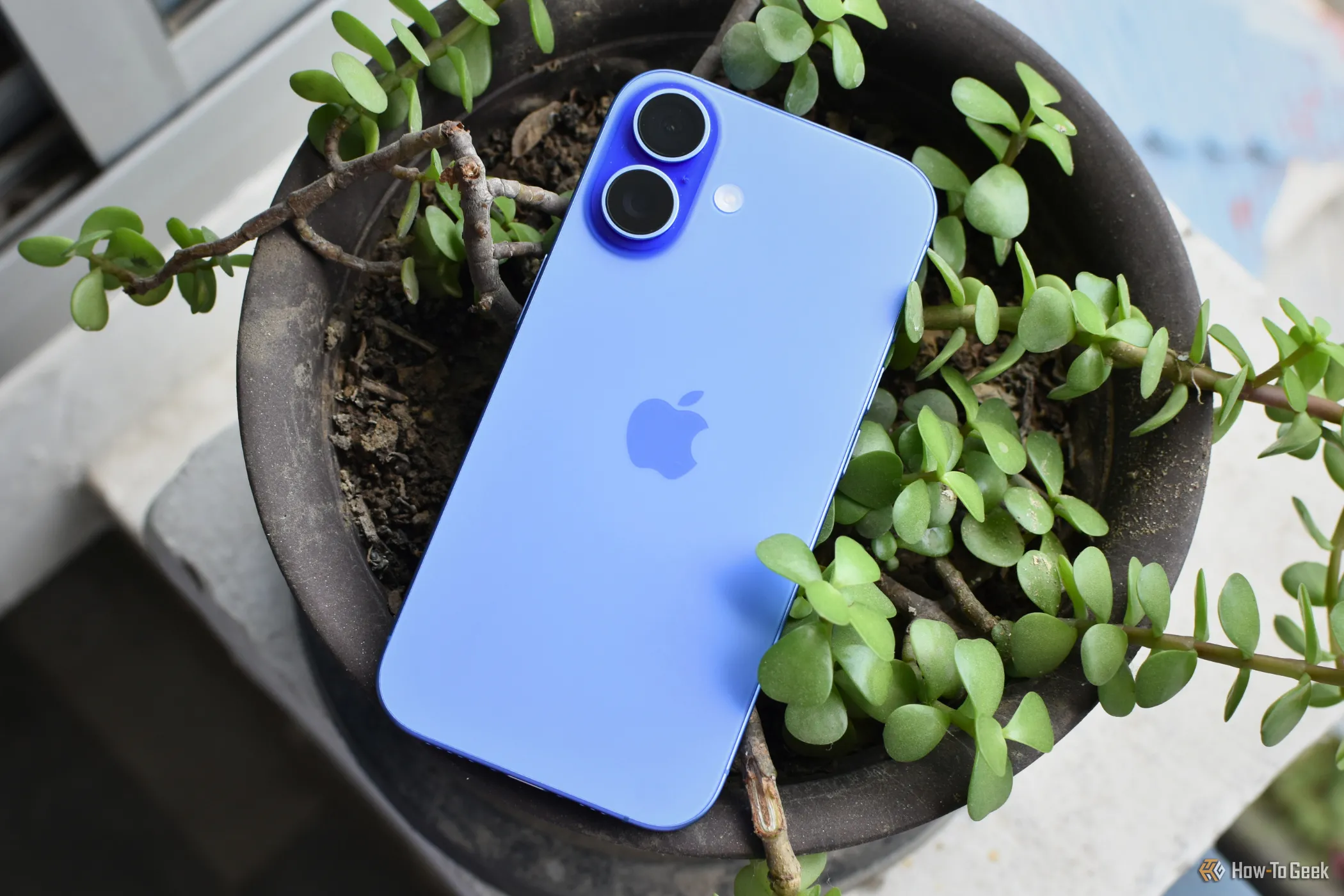 iPhone 16 màu Ultramarine đặt cạnh chậu cây xanh, thể hiện thiết kế tinh tế