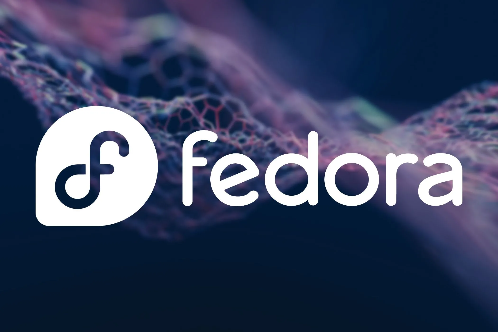 Màn hình máy tính xách tay hiển thị logo Fedora, tượng trưng cho hệ điều hành Linux.