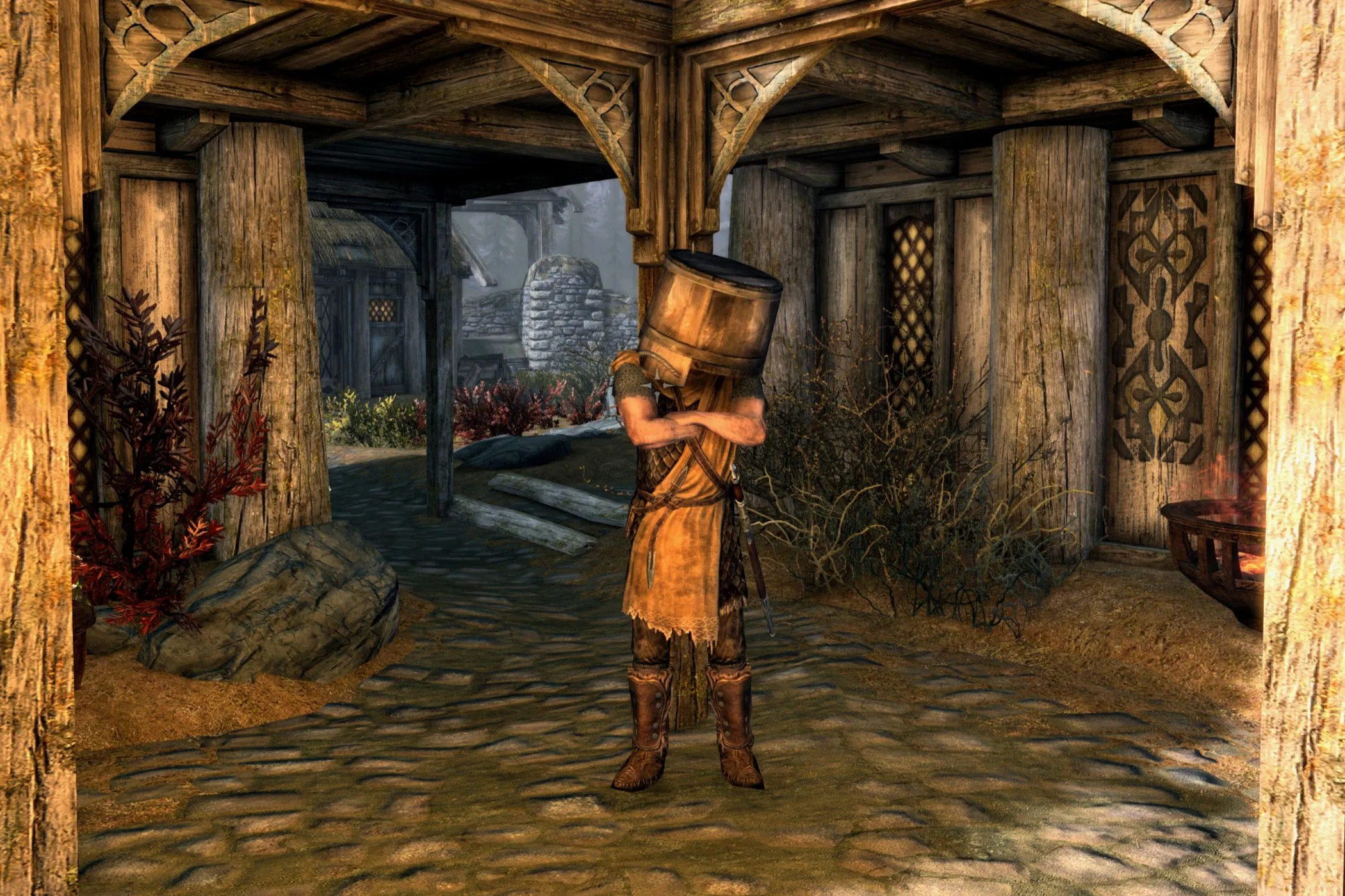 Một lính gác trong game Skyrim đội xô lên đầu.