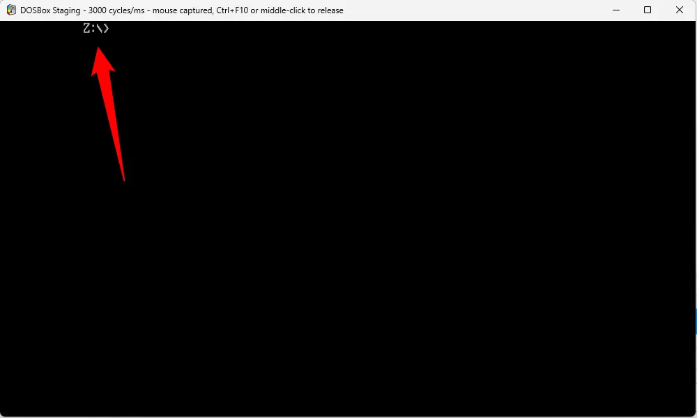 Ổ đĩa Z đang hoạt động trong giao diện DOSBox Staging