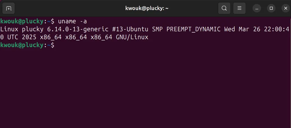 Phiên bản kernel của Ubuntu 25.04