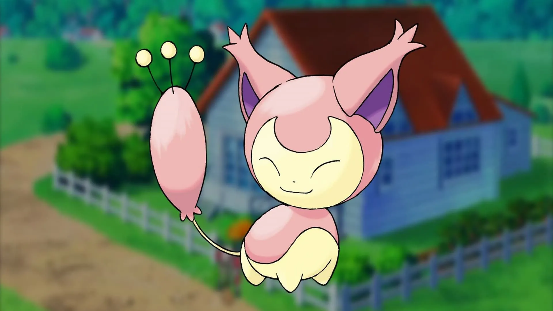 Skitty nhỏ nhắn, đáng yêu đang ngồi trong không gian giống phòng khách