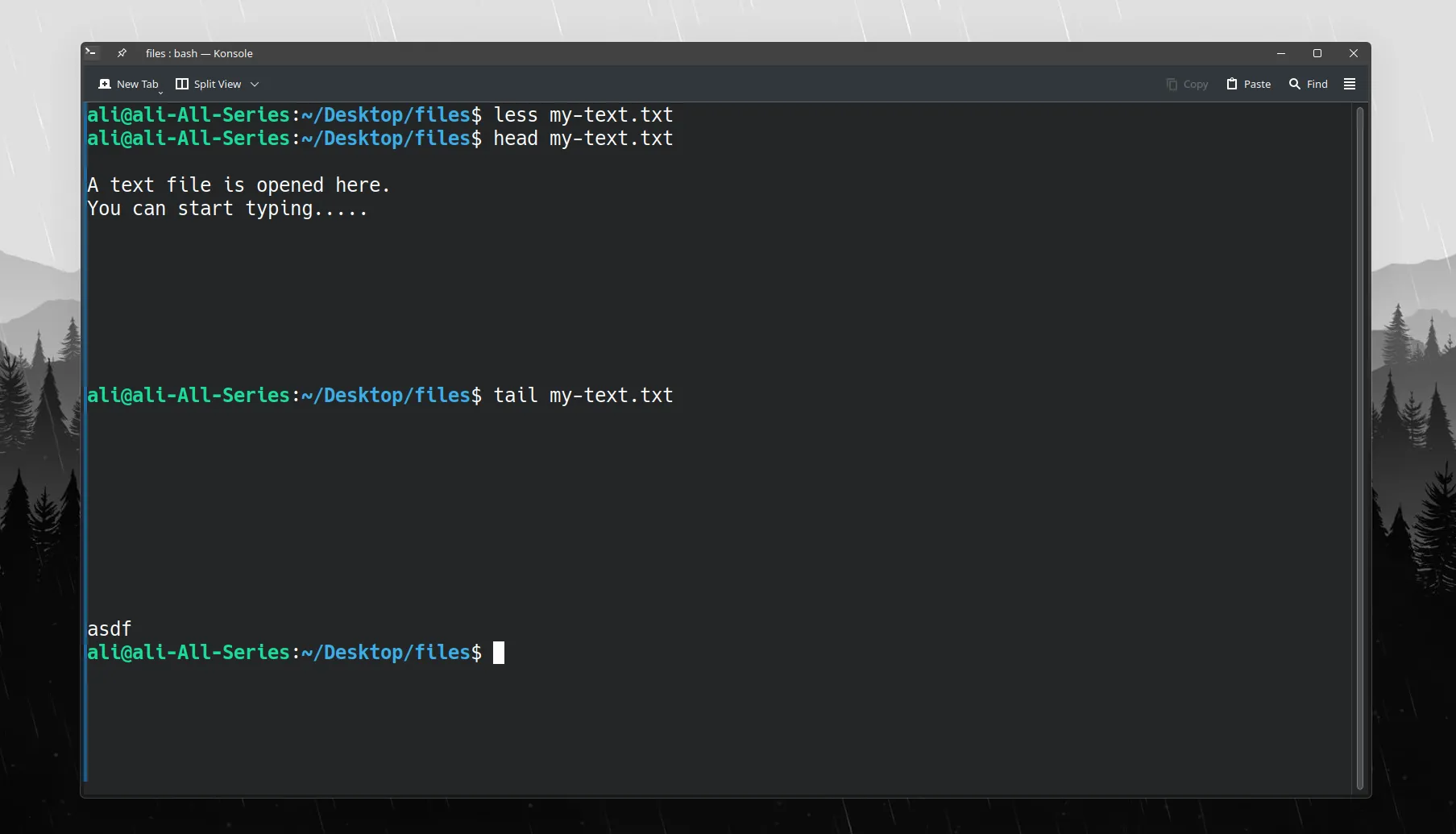 Terminal Linux trình bày kết quả từ lệnh head và tail khi xem file văn bản