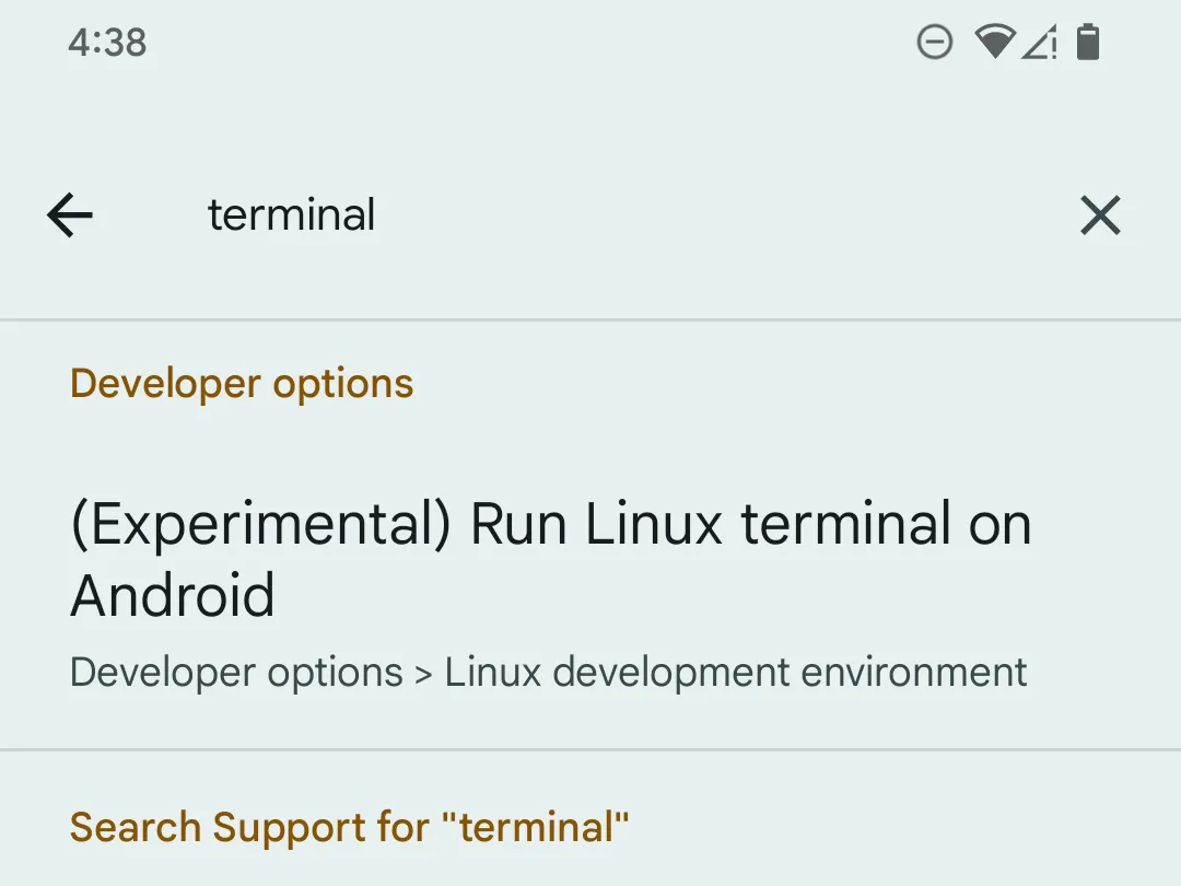 Tìm kiếm tùy chọn &quot;terminal&quot; trong cài đặt nhà phát triển Android trên điện thoại Pixel