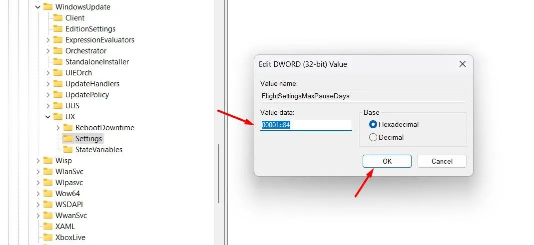 Trường &quot;Value data&quot; để nhập giá trị hex cho FlightSettingsMaxPauseDays trong Registry Editor
