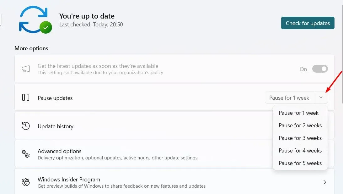 Tùy chọn tạm dừng cập nhật Windows 11 trong mục Windows Update của ứng dụng Cài đặt