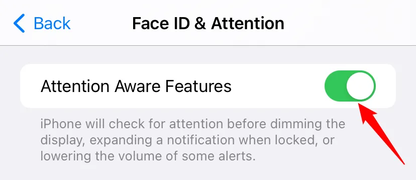 Tùy chọn tắt tính năng nhận biết sự chú ý trên iPhone có Face ID