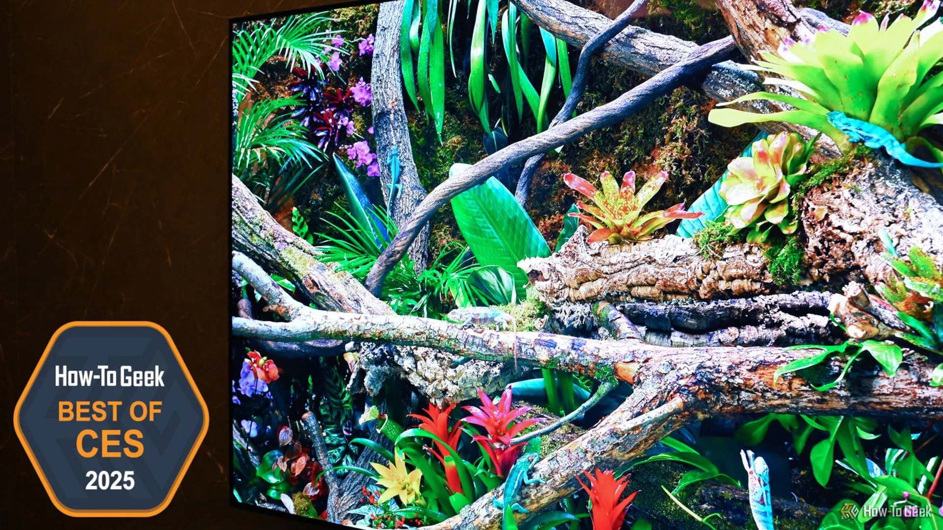 TV Samsung OLED S95F tại CES 2025, với công nghệ AI và độ sáng OLED vượt trội.