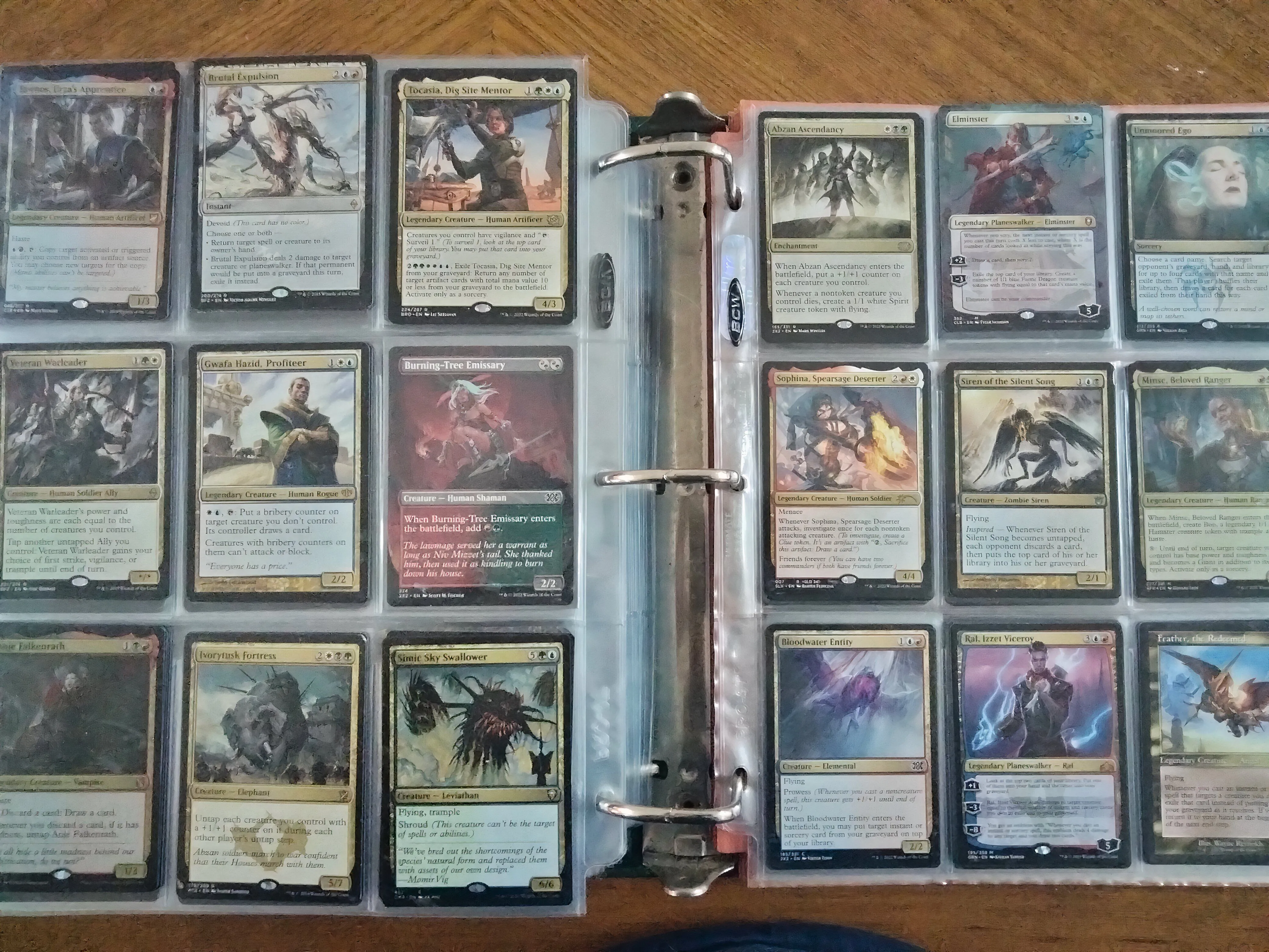 Bộ sưu tập thẻ bài Magic: The Gathering vật lý của tác giả, minh họa khía cạnh sưu tầm