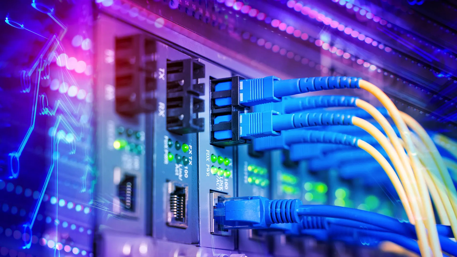 Dây cáp quang kết nối vào máy chủ, biểu thị mạng tốc độ cao 10Gb Ethernet