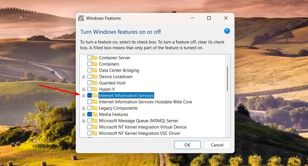 Hộp thoại Internet Information Services trong Windows Features