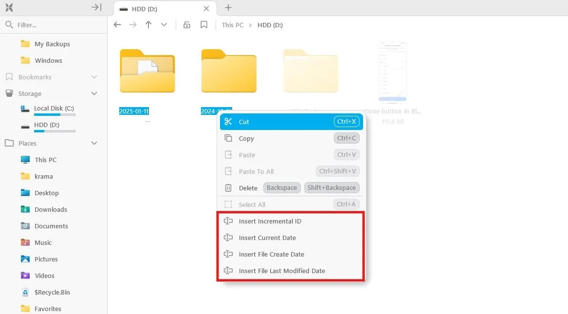 Menu ngữ cảnh với các tùy chọn đổi tên hàng loạt tệp trong File Pilot.
