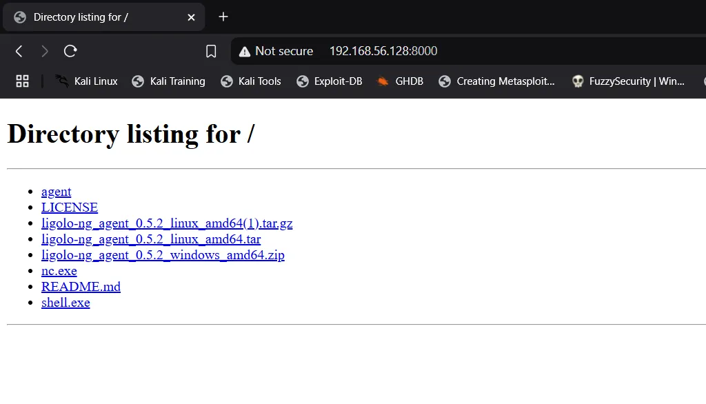 Trình duyệt web hiển thị danh sách thư mục file từ máy chủ HTTP Python trên Linux, cho phép tải xuống dễ dàng
